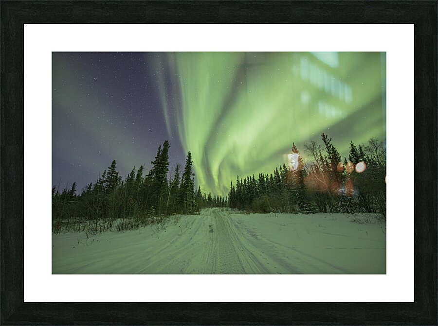 Light up the path Picture Frame print