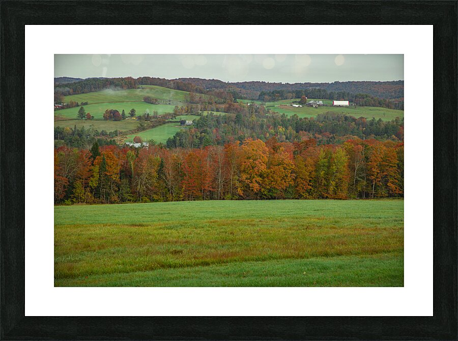 Barnet Autumn Rolling Hills Picture Frame print