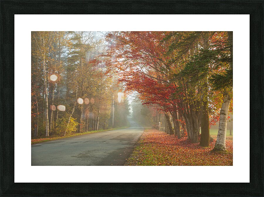 Foggy Morning Autumn Road Impression et Cadre photo