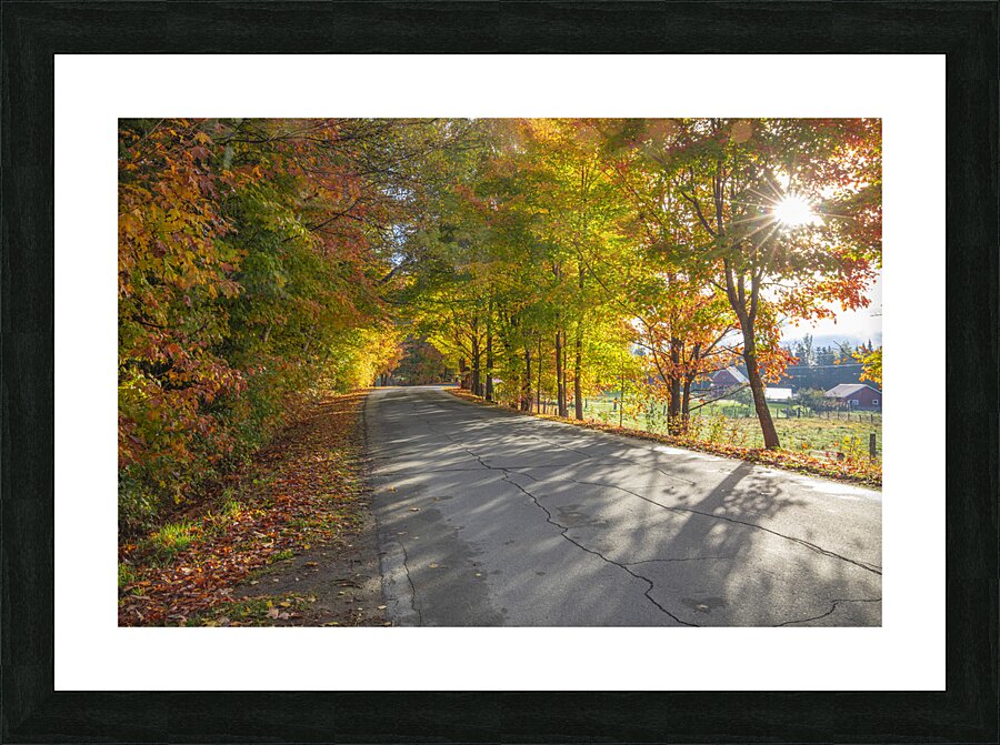 Autumn Road Morning Glow Picture Frame print