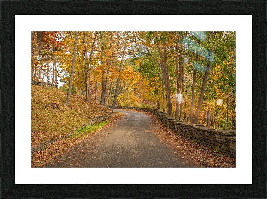 Letchworth Autumn Road to Paradise Picture Frame print