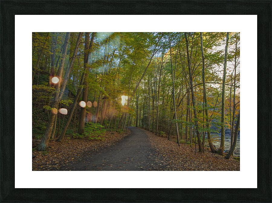Taughannock Falls Forest Trail Picture Frame print