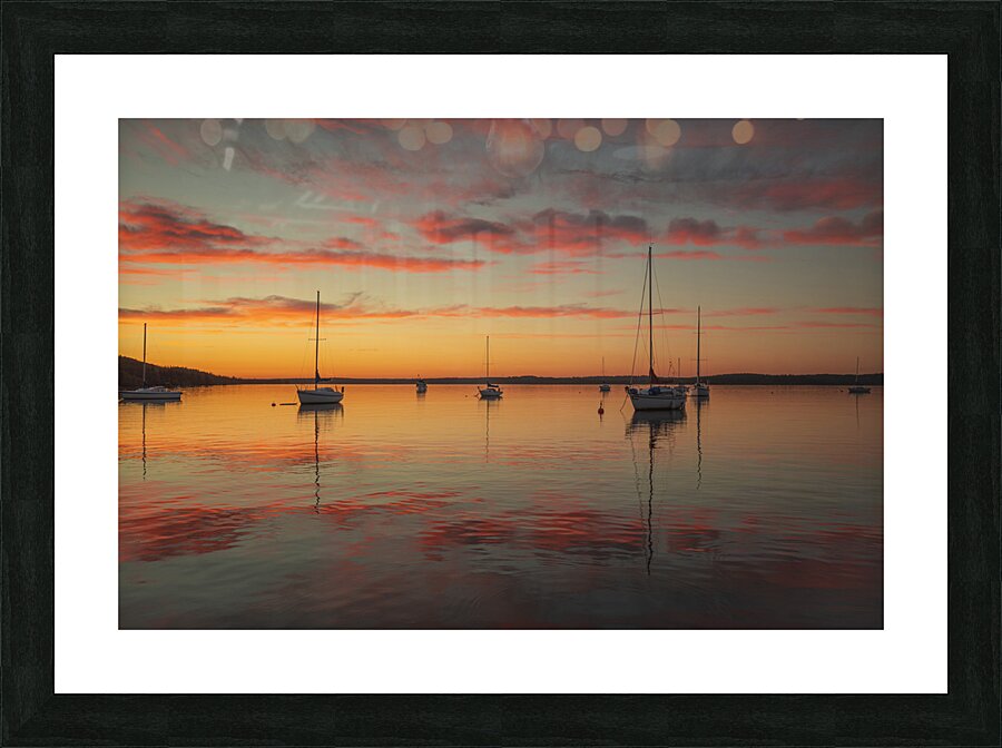 Sailing into the Summer Sunset  Picture Frame print
