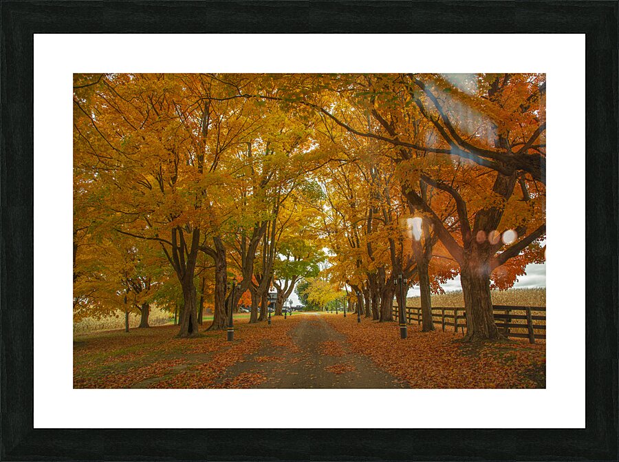 Enchanted Autumn Wonderland Pathway  Picture Frame print