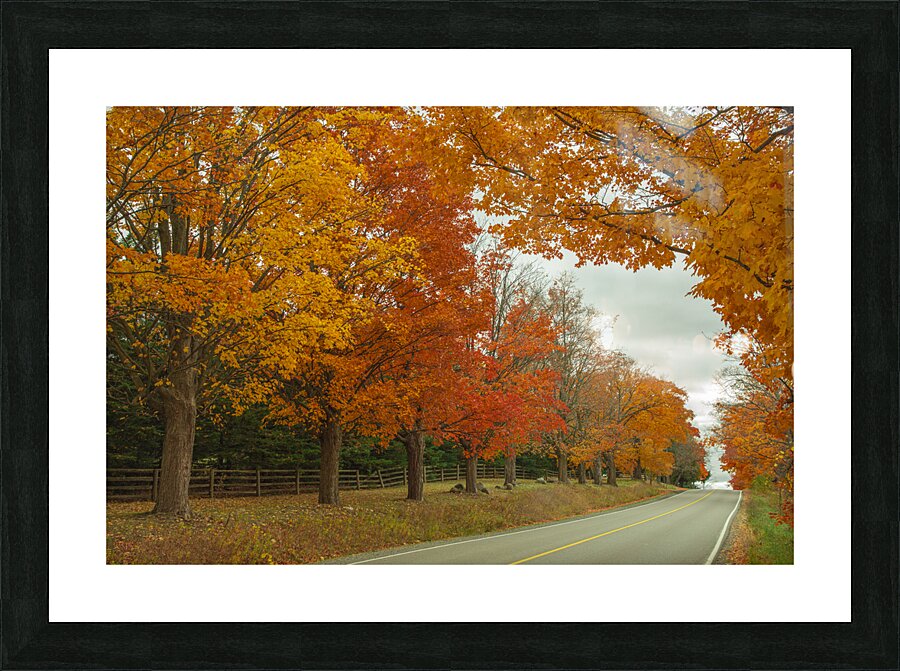 Rural Autumn Road Splendor  Picture Frame print