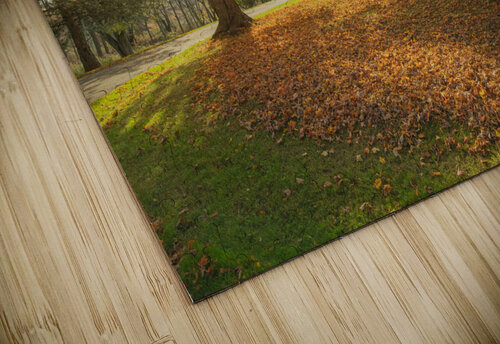 Autumn Glow Daniel Pekar Photography puzzle