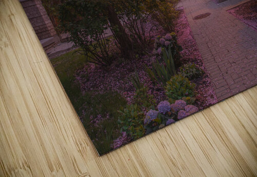 Crab apple blossom pathway Daniel Pekar Photography puzzle