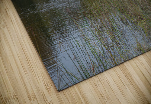 Saint Sophie Autumn Vibrancy Daniel Pekar Photography puzzle