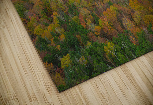 Artist s Bluff Autumn lookout Daniel Pekar Photography puzzle