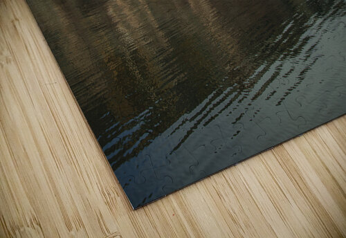 Close up of Perce Rock Reflection Daniel Pekar Photography puzzle