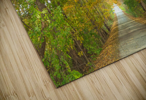 Rural Niagara Autumn Path Daniel Pekar Photography puzzle
