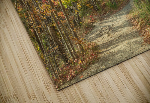 Decew Falls Autumn Trail Daniel Pekar Photography puzzle