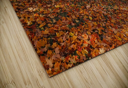 Flesherton Maple Magic Daniel Pekar Photography puzzle