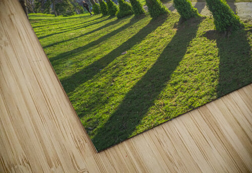 Morning Spring Freshness Daniel Pekar Photography puzzle