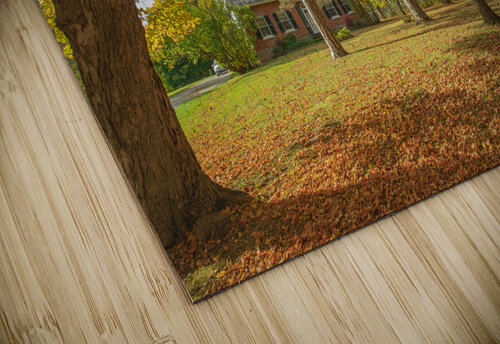Rural Niagara Autumn Residence Daniel Pekar Photography puzzle