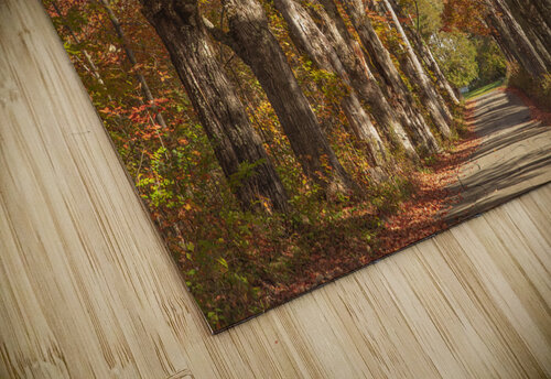 Lovers Lane Autumn Splendor Daniel Pekar Photography puzzle