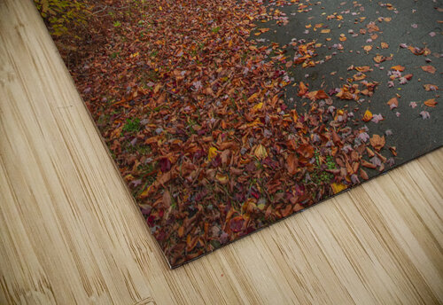 Magical Autumn Path to Bridge Daniel Pekar Photography puzzle
