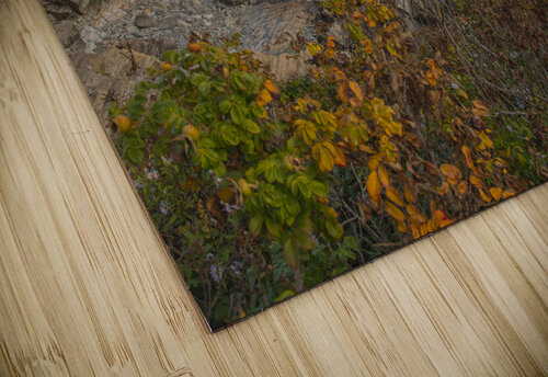 Portland Head light in Autumn Daniel Pekar Photography puzzle