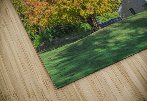 Autumn Maple Magic Daniel Pekar Photography puzzle