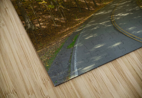 Letchworth Autumn Tree Tunnel Glow Daniel Pekar Photography puzzle