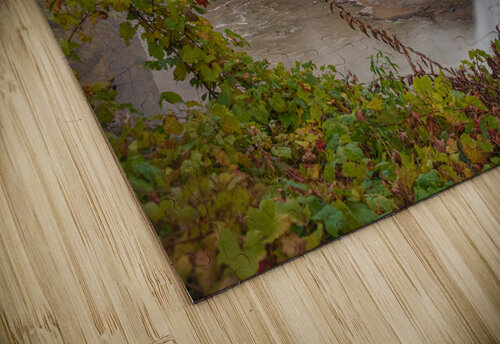 Autumn Splash At Middle Falls Daniel Pekar Photography puzzle