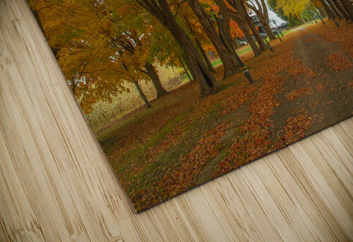 Enchanted Autumn Wonderland Pathway  Daniel Pekar Photography puzzle