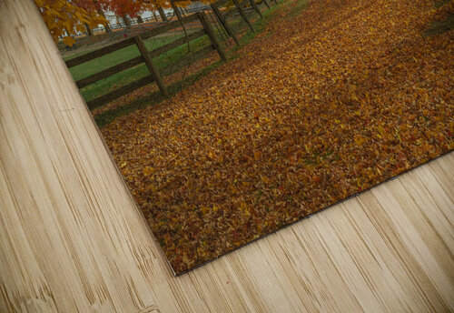Autumn Farm Maple Pathway  Daniel Pekar Photography puzzle