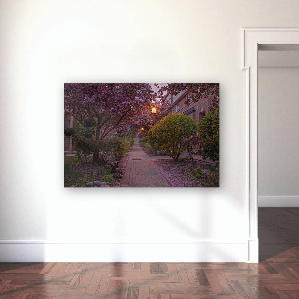 Crab apple blossom pathway Reproduction