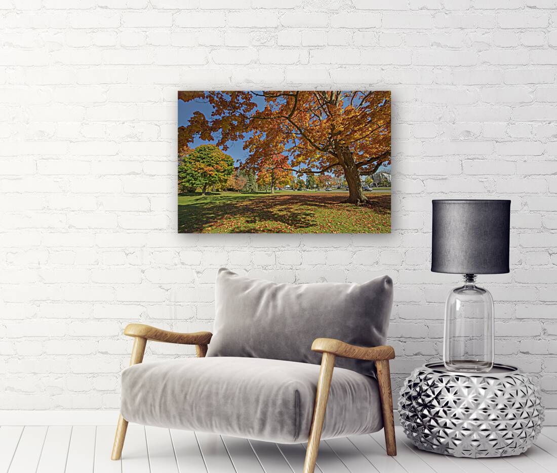 Niagara falls Autumn Magic Reproduction