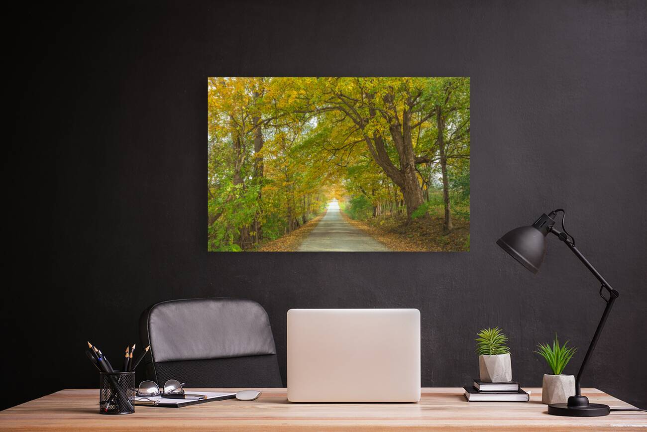 Rural Niagara Autumn Path Reproduction