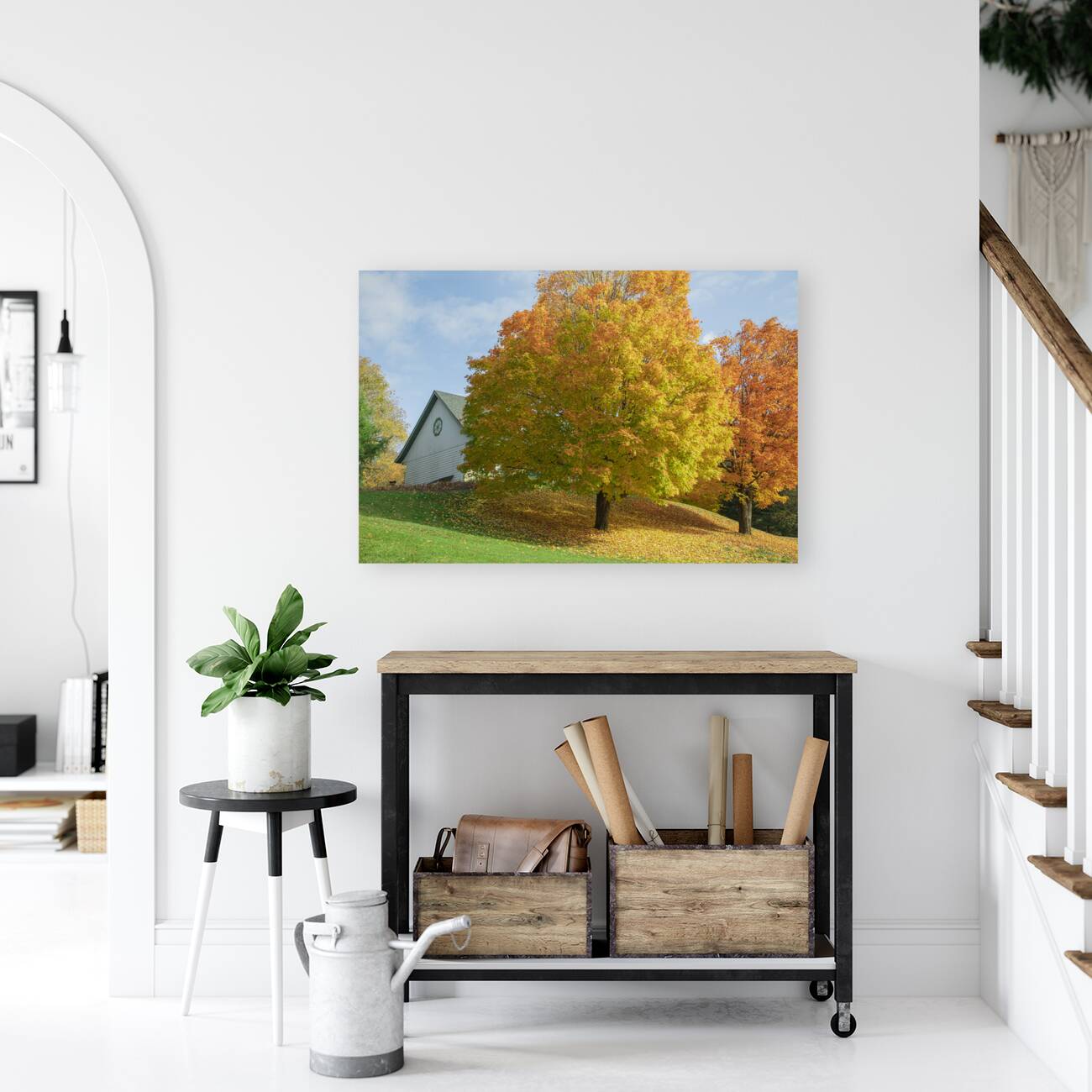 Autumn Classic Maples Reproduction