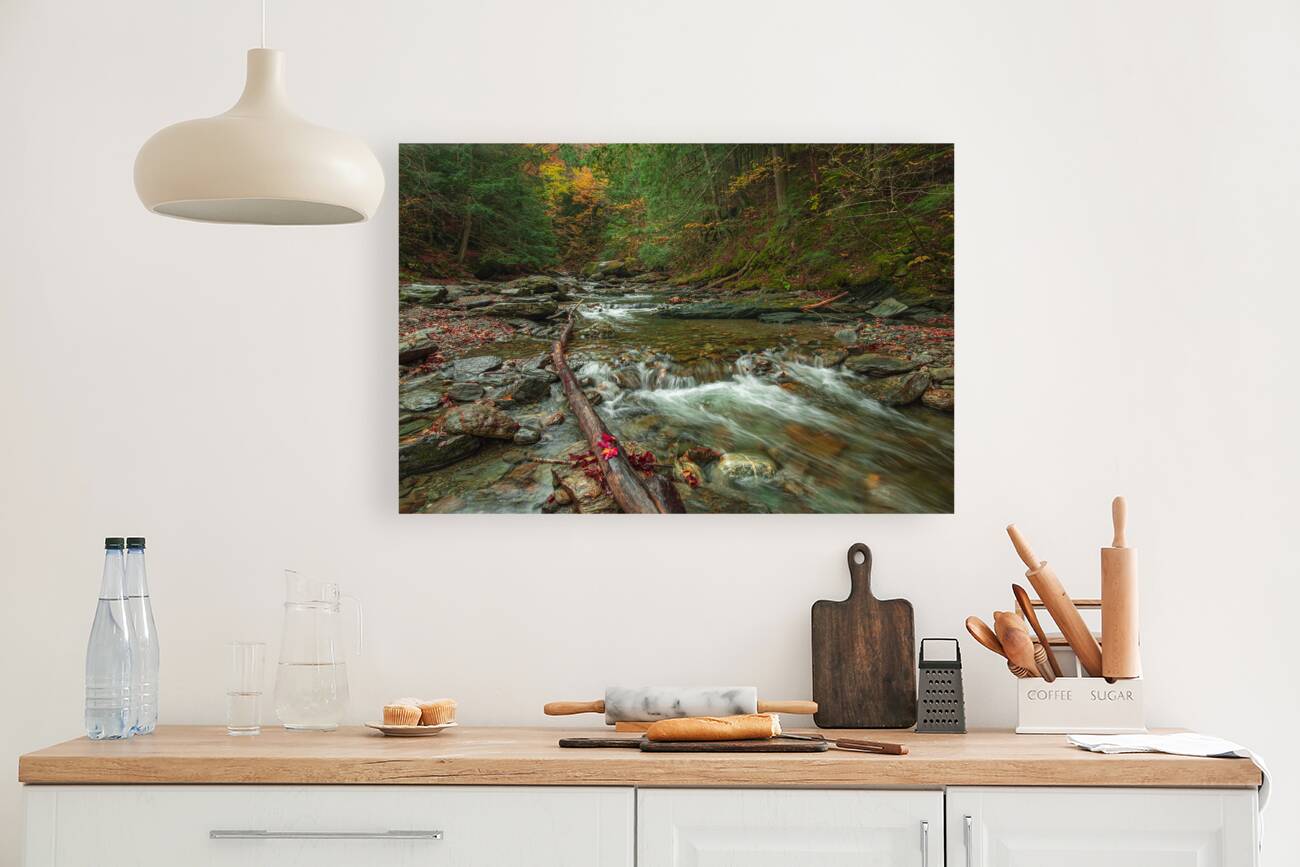 Autumn Forest Stream Reproduction
