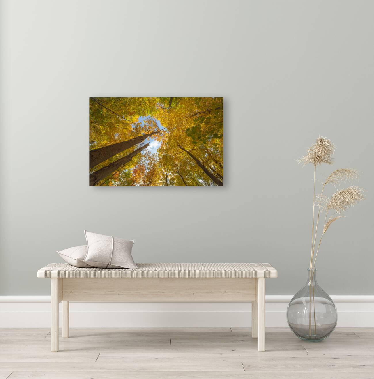 Forest Magical Autumn Glow Reproduction