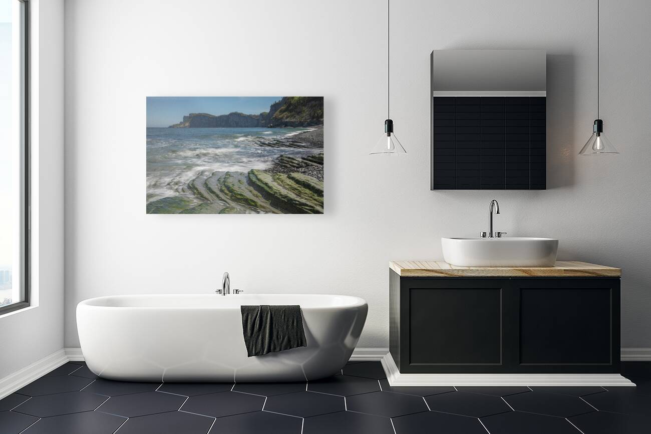 Forillon Rocky Scale Textures Reproduction