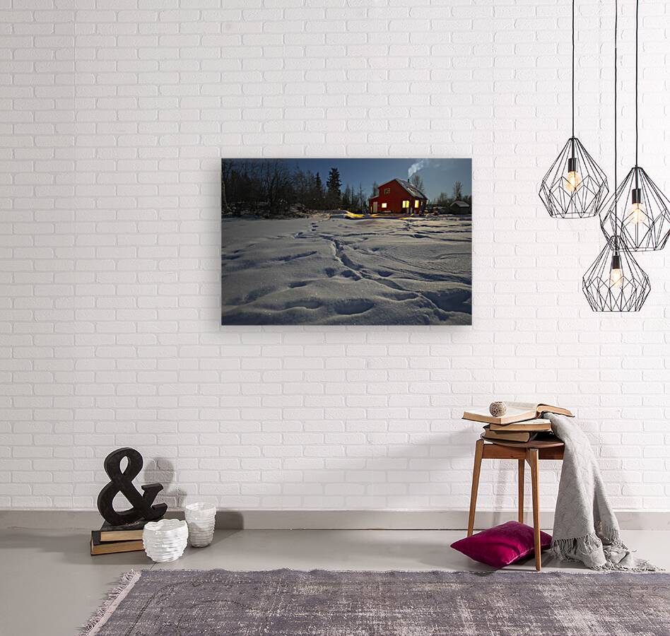 House boat Winter Sparkle Reproduction