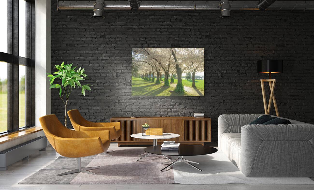 Spencer Park Cherry Blossom Splendor Reproduction