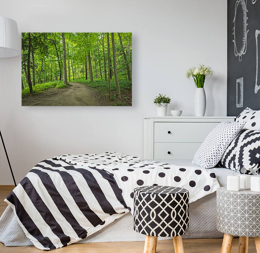 Summer fresh forest glow Reproduction