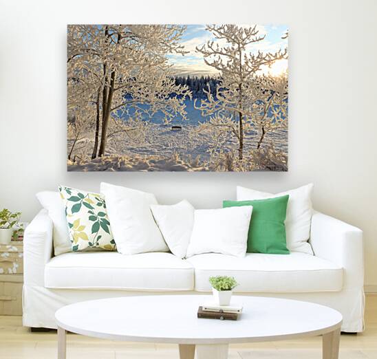 Winter wonderland frost Reproduction