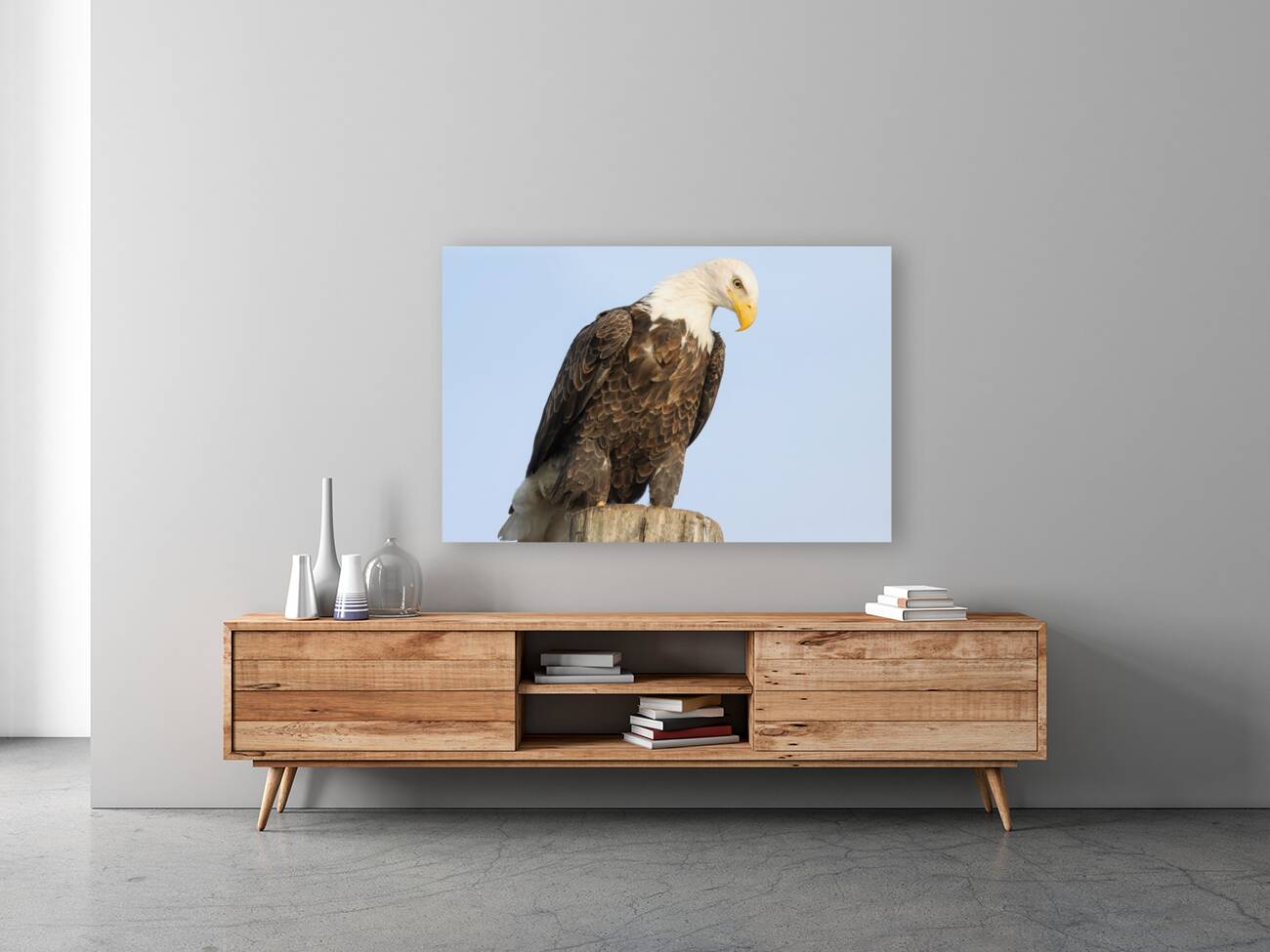 Bald Eagle portrait Reproduction