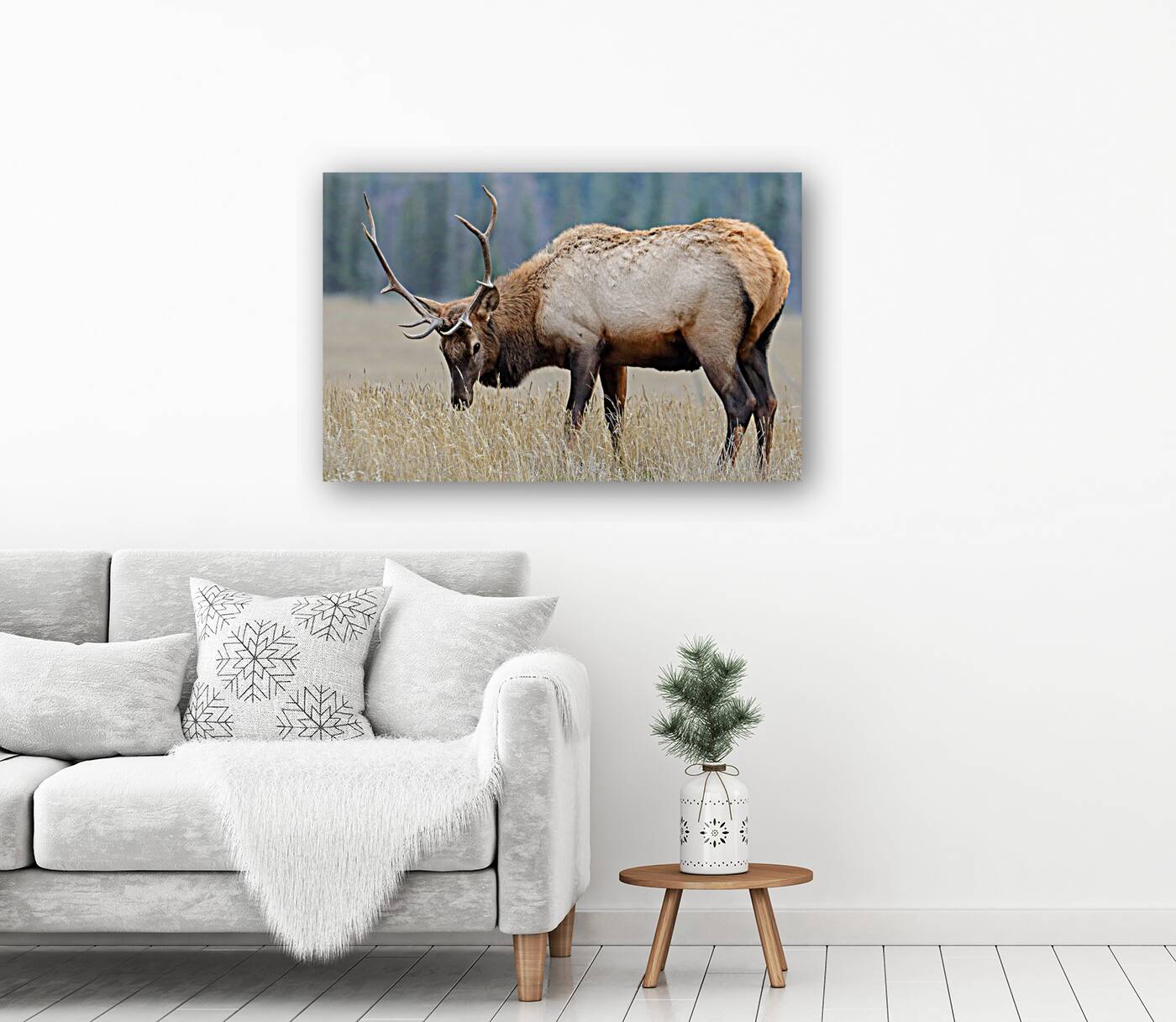 Jasper Elk Reproduction