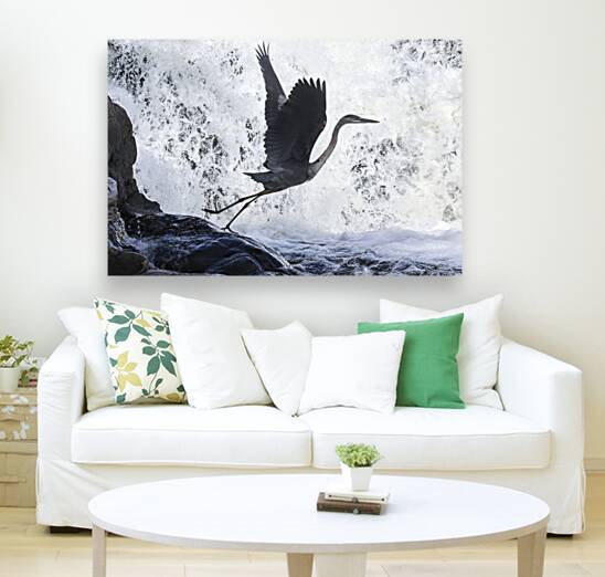 Blue Heron flight Takeoff Reproduction