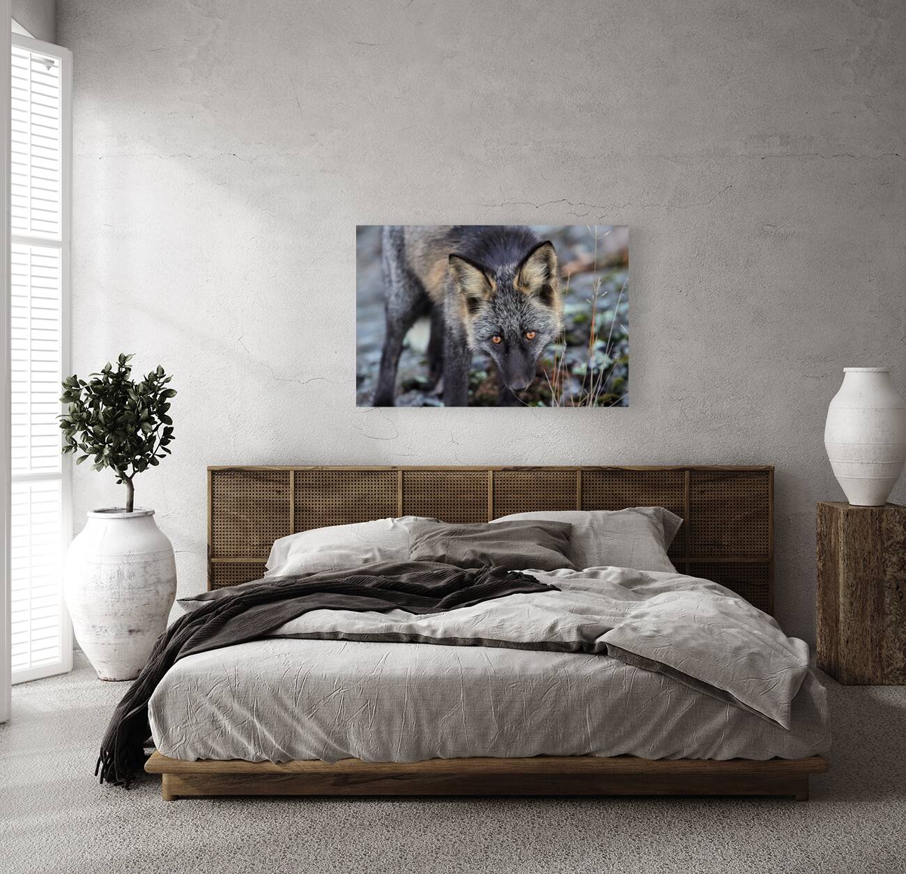 Fox Staredown Reproduction