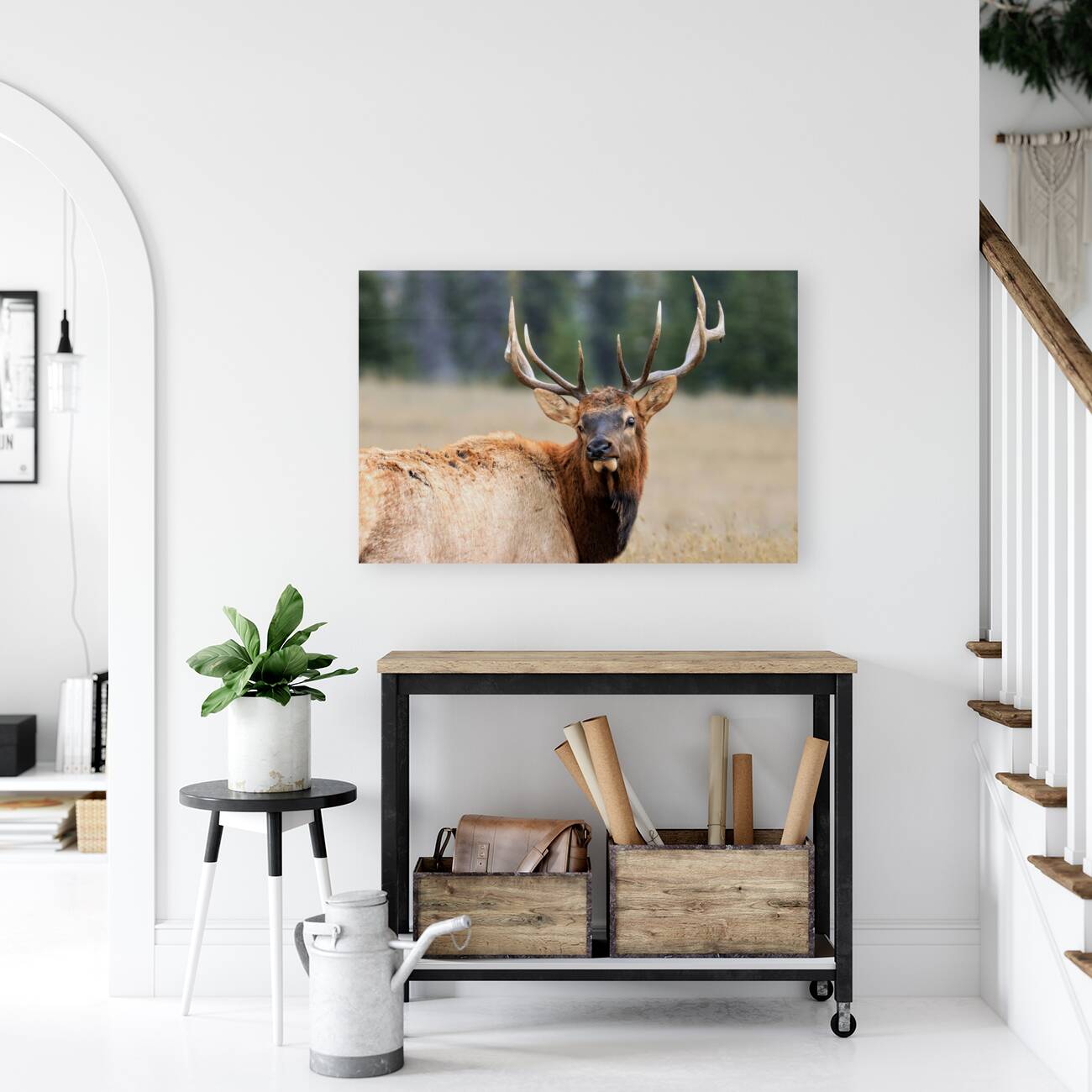 Elk Staredown Reproduction