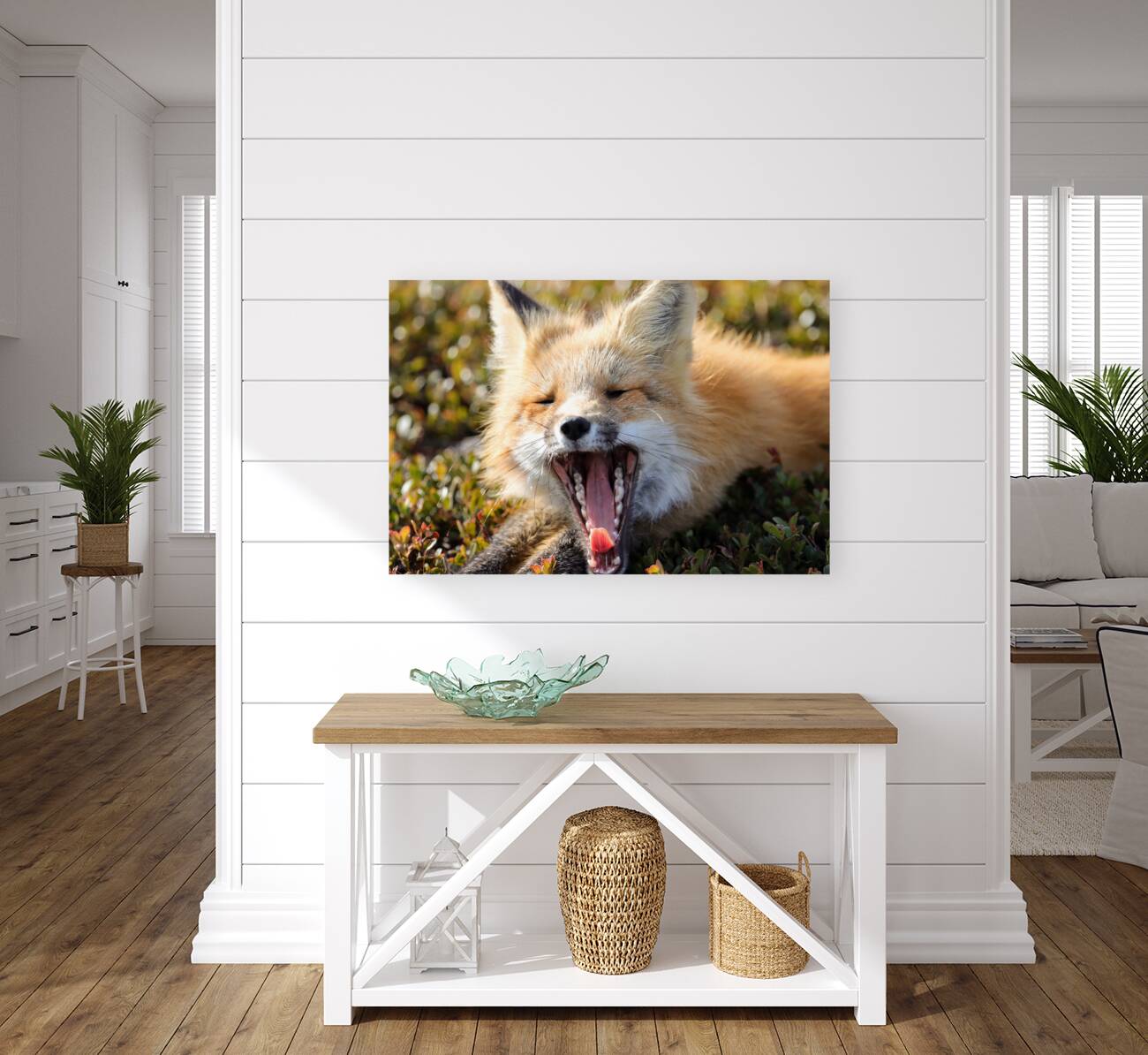 Fox Yawning Reproduction