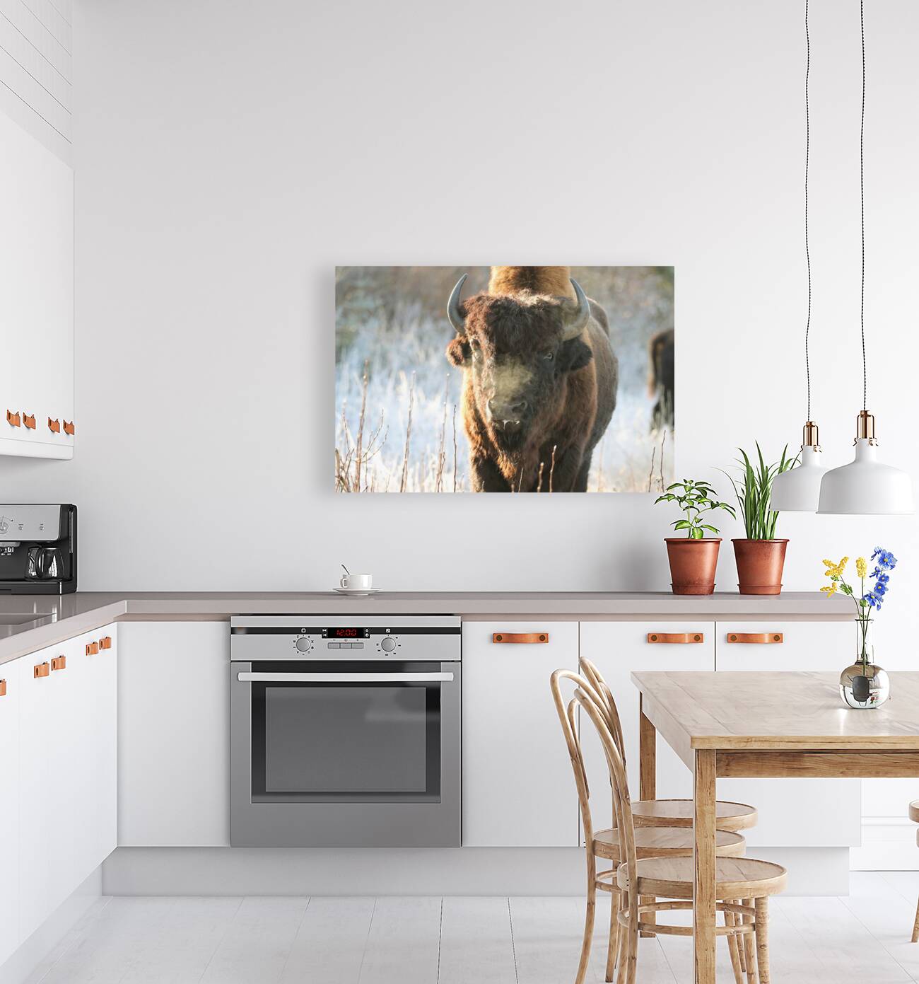 Wood Bison in Morning Frost Reproduction