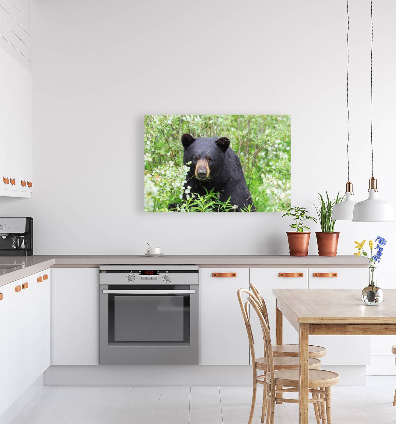 Black Bear Eating Reproduction