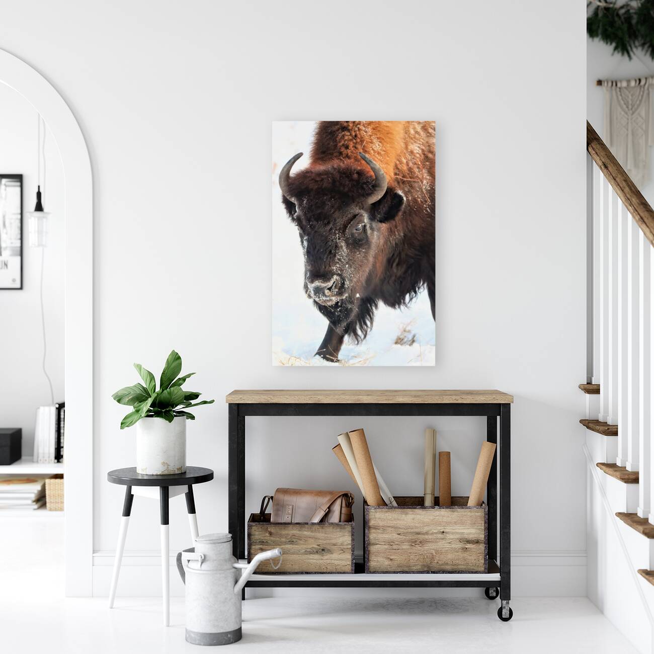 Winter Bison Portrait Reproduction