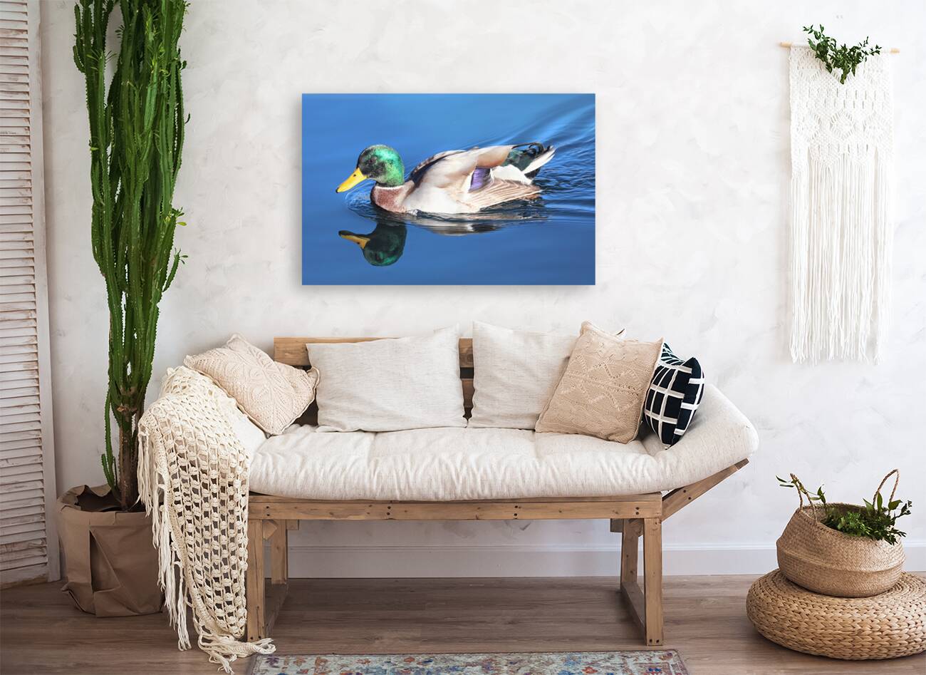 Duck Reflections Reproduction