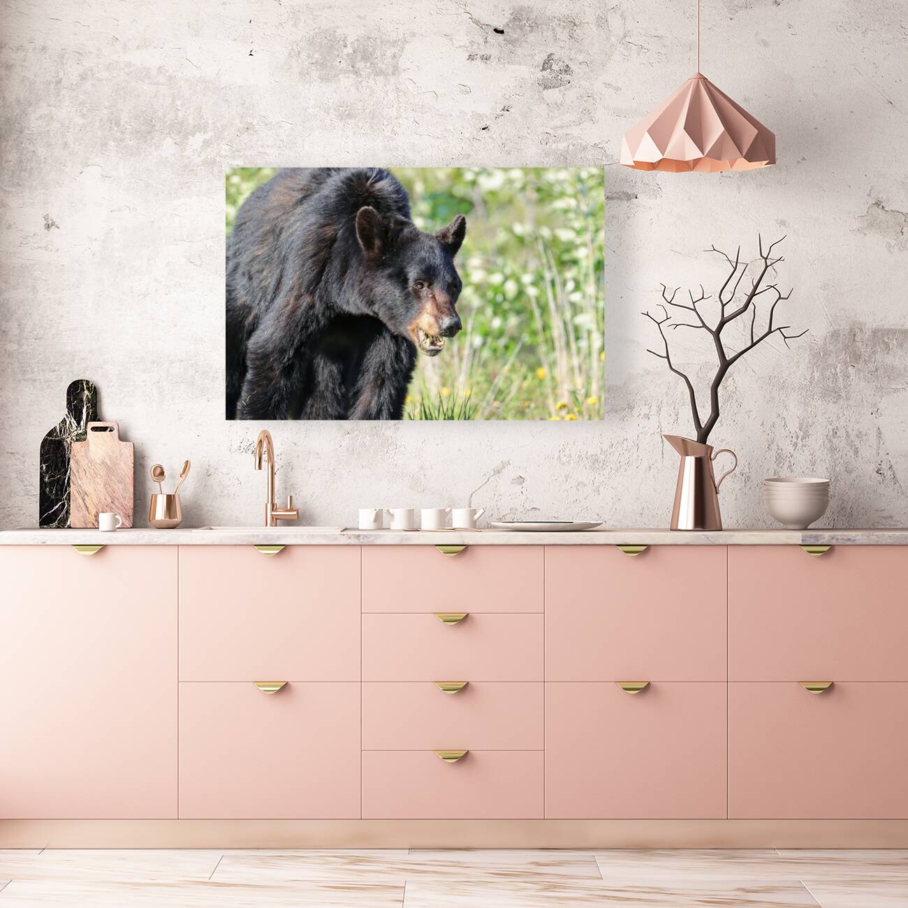 Black Bear eating grass Reproduction