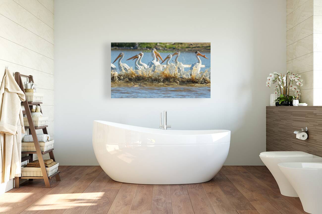 Pelicans in the Waves Reproduction